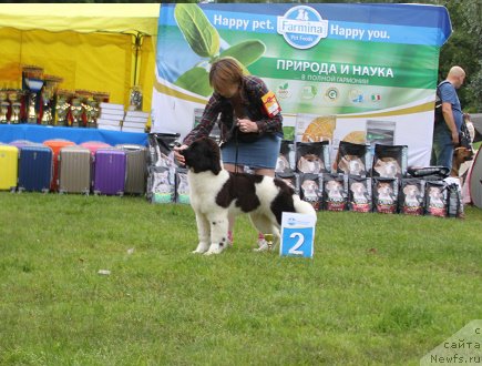 Фотография № 226857