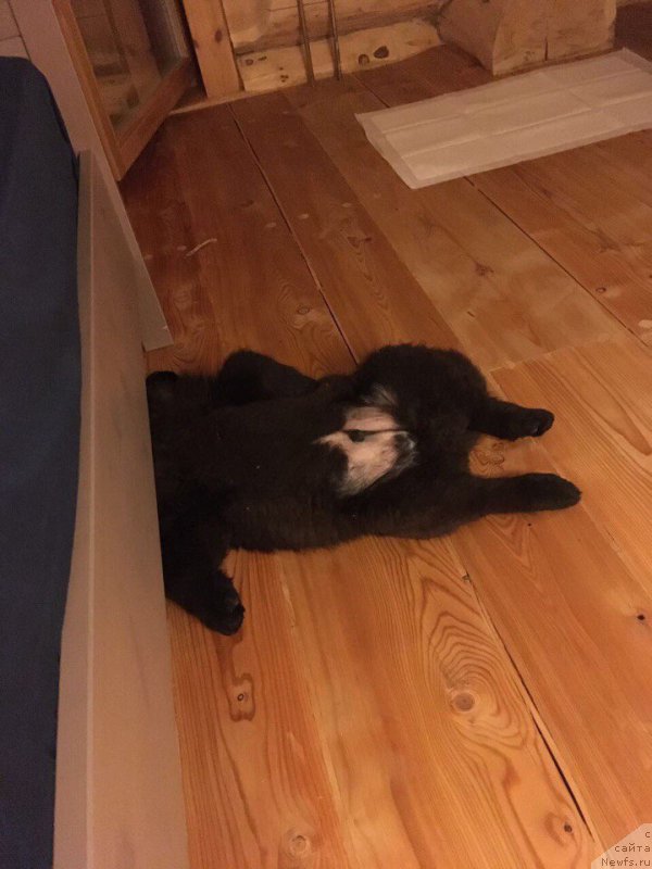 Фотография № 226861