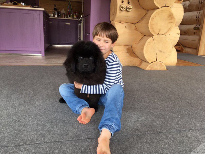 Фотография № 226862