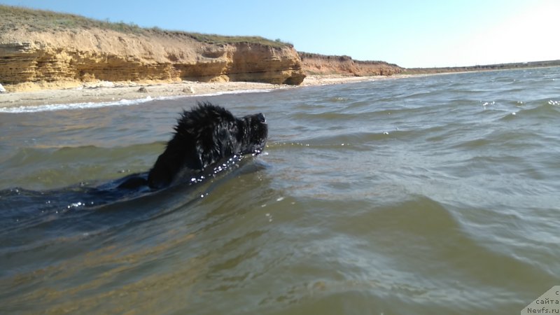 Фотография № 226900