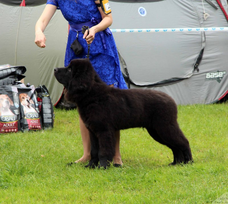 Фотография № 226904