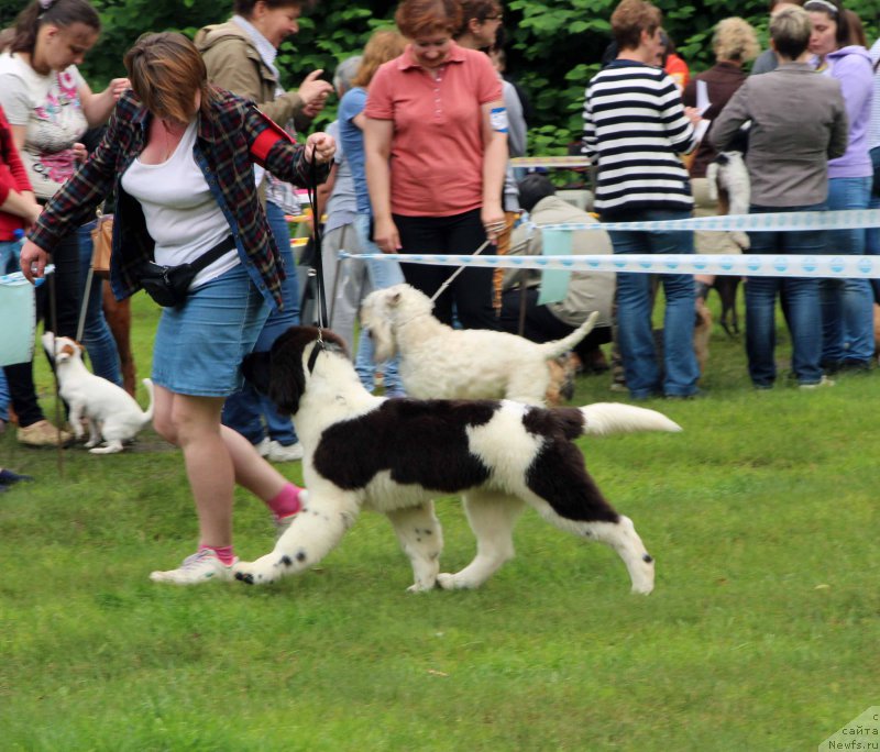 Фотография № 226907