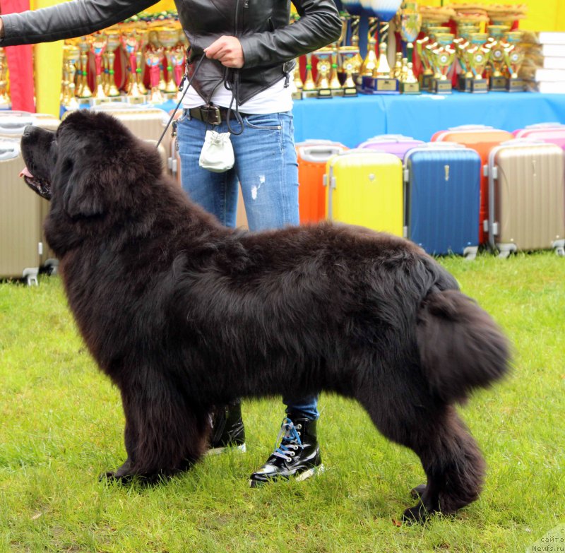 Фотография № 226910