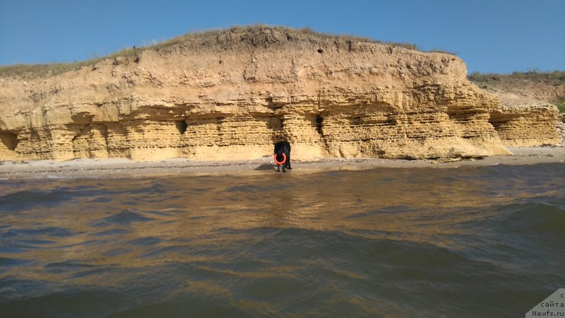 Фотография № 226913