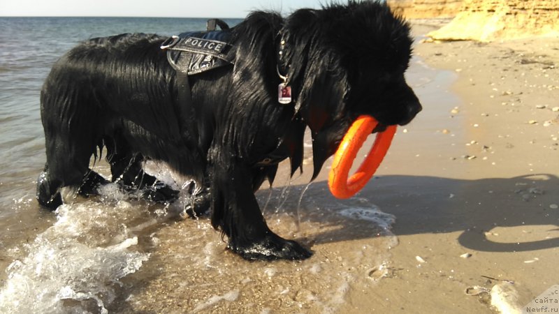 Фотография № 226916