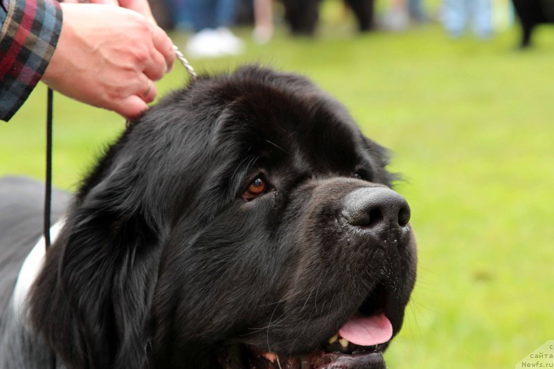 Фотография № 226920