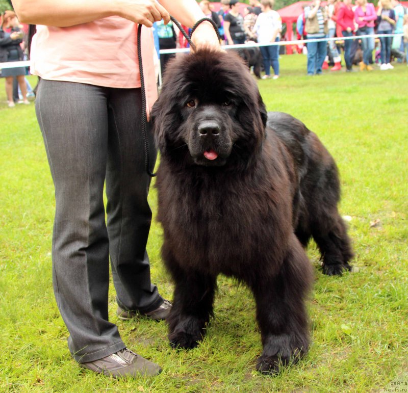 Фотография № 226932