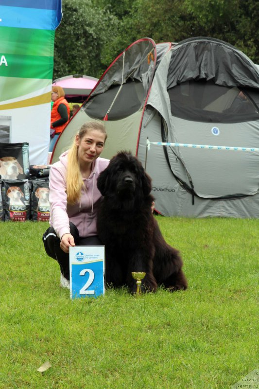 Фотография № 226934