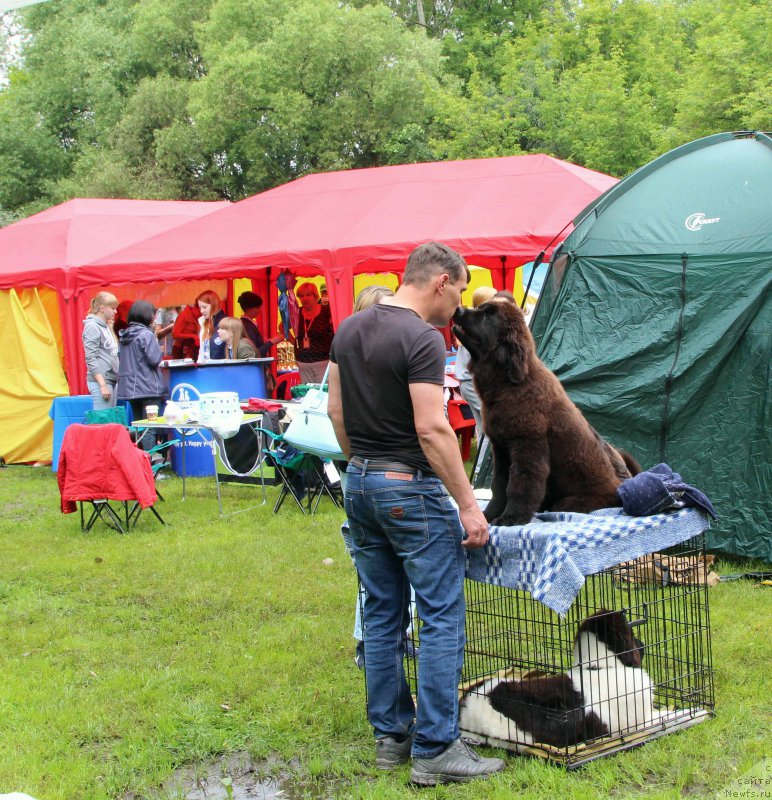 Фотография № 226940