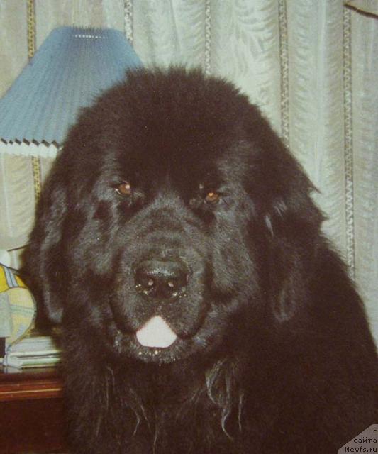 Фотография № 22696