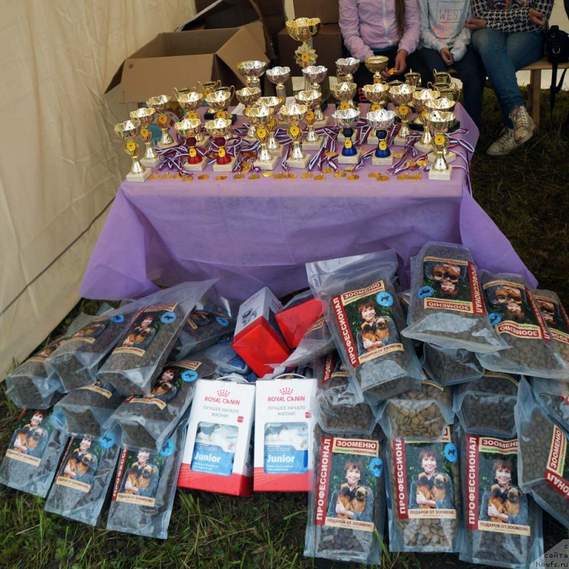 Фотография № 227014