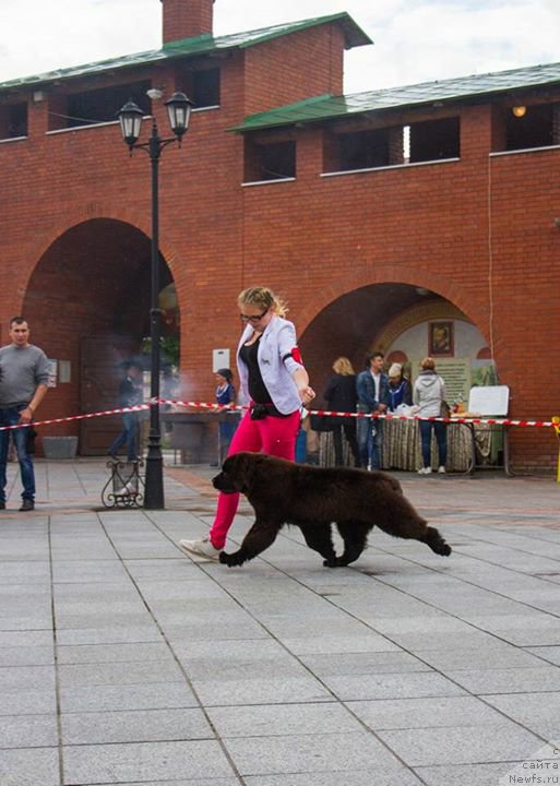 Фотография № 227048