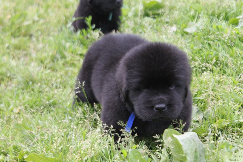 Фотография № 227055