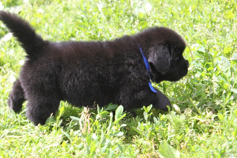 Фотография № 227058