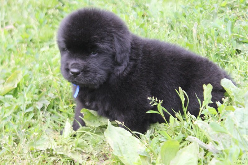 Фотография № 227063