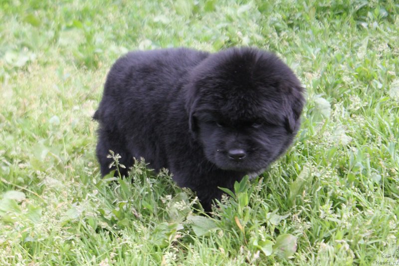 Фотография № 227066