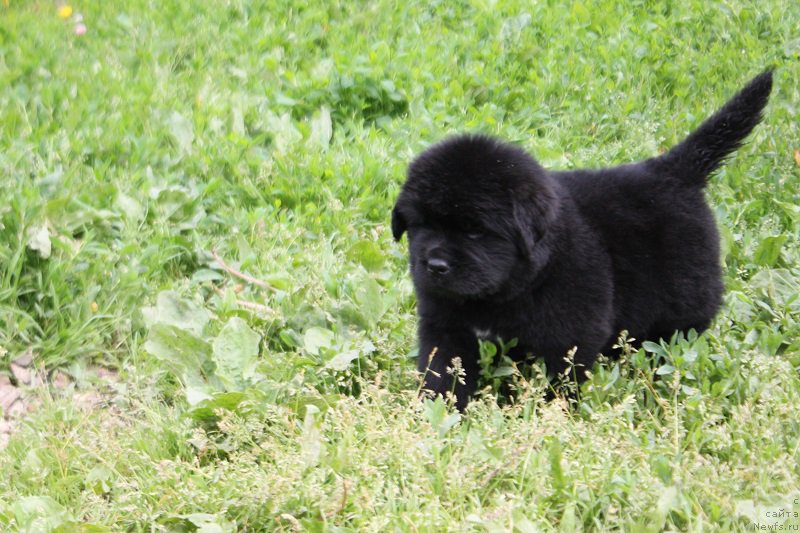 Фотография № 227068