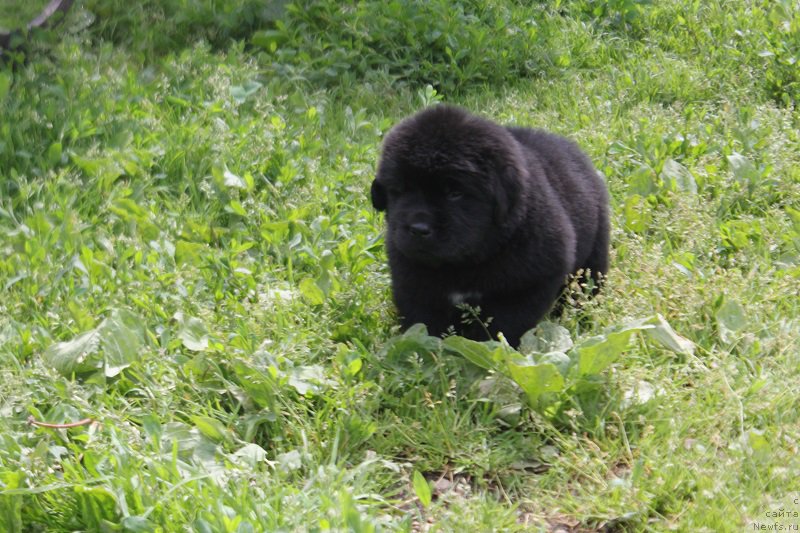 Фотография № 227075