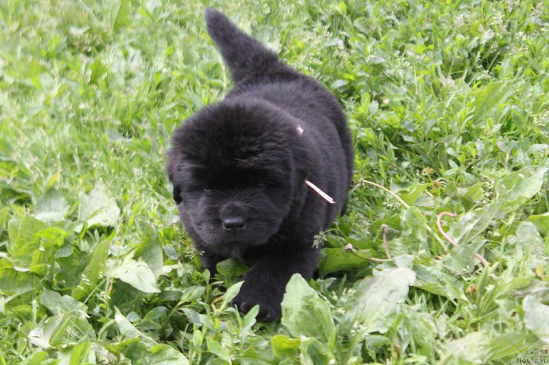 Фотография № 227082