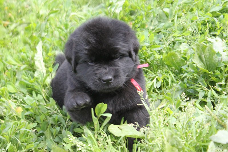 Фотография № 227084