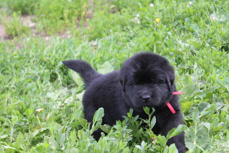 Фотография № 227087