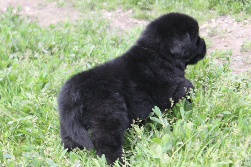 Фотография № 227092