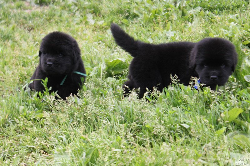 Фотография № 227096