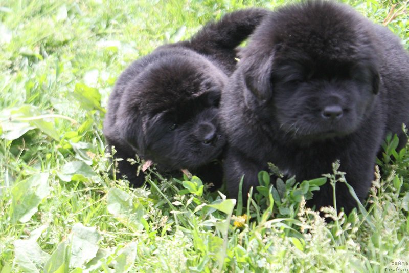 Фотография № 227099