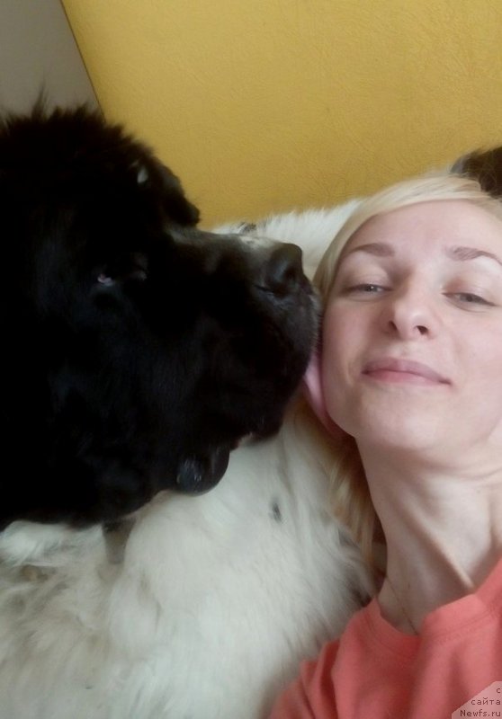 Фотография № 227103