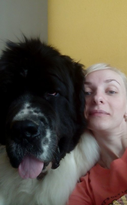 Фотография № 227104