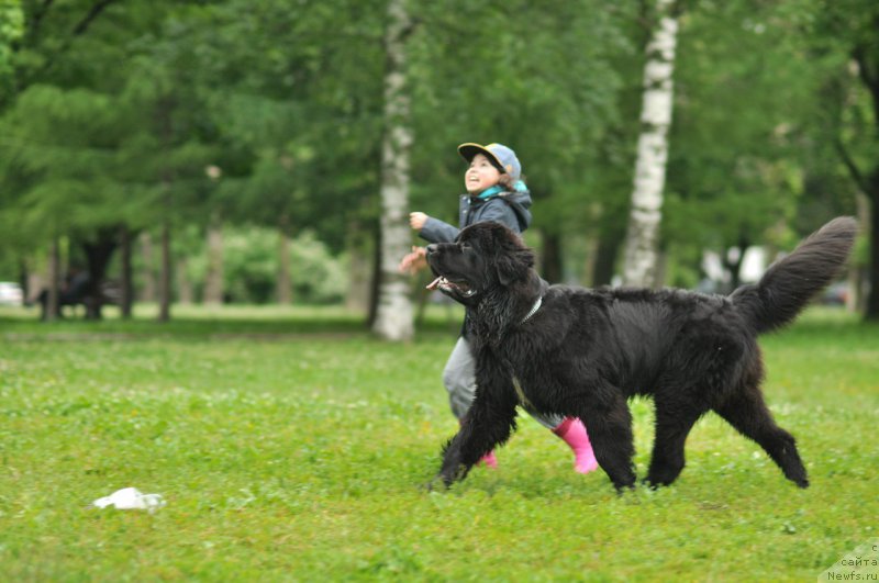 Фотография № 227122