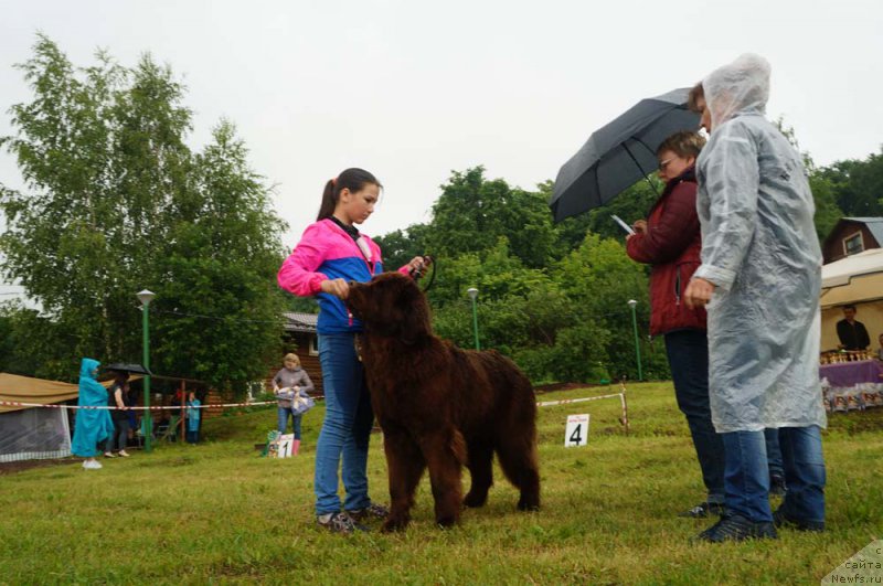 Фотография № 227135