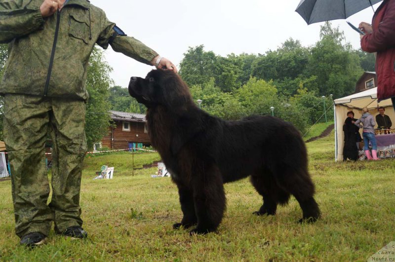 Фотография № 227136