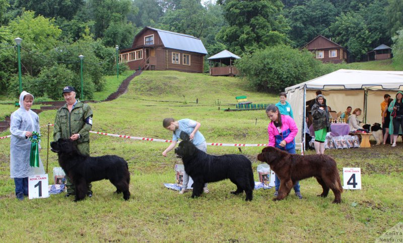 Фотография № 227140