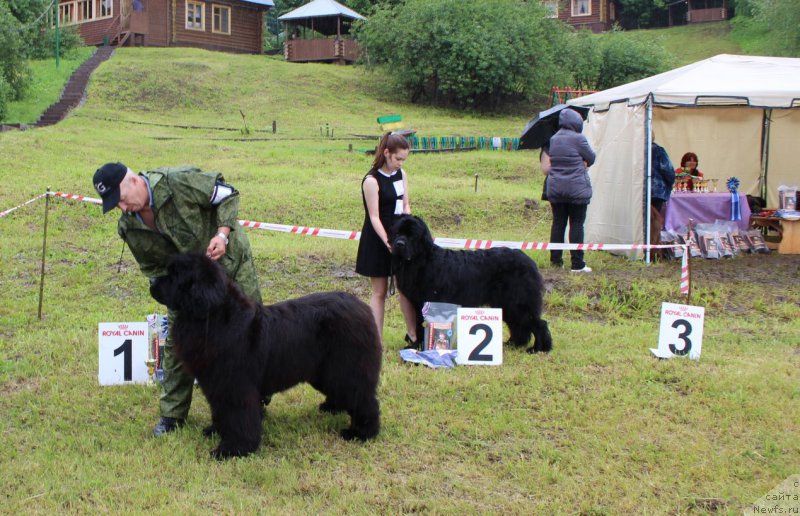 Фотография № 227147