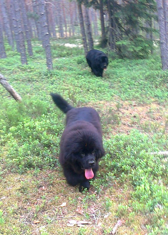 Фотография № 227148