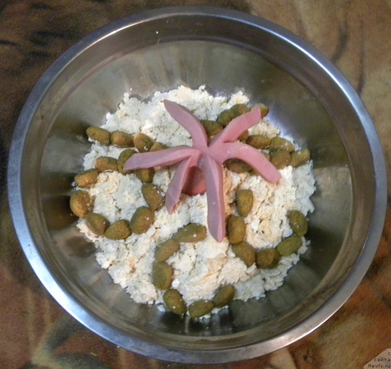 Фотография № 227149