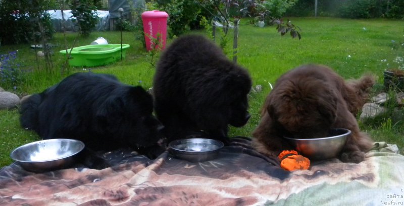 Фотография № 227152