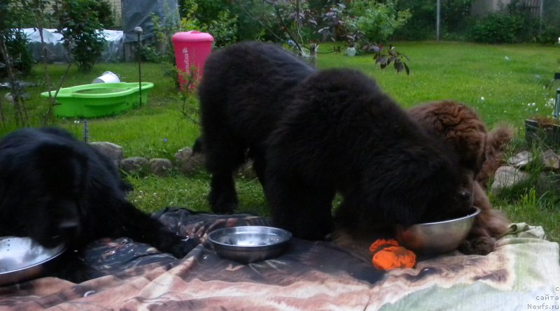 Фотография № 227153