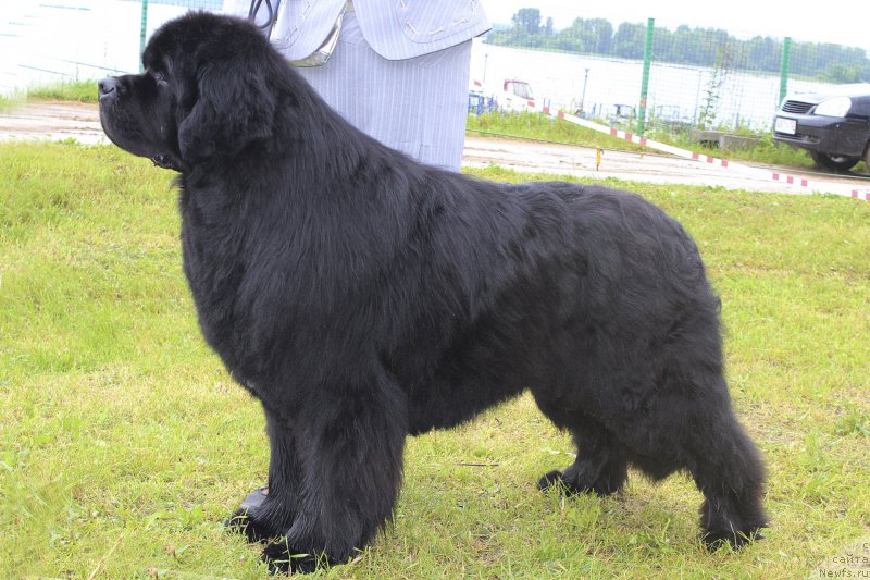 Фотография № 227159