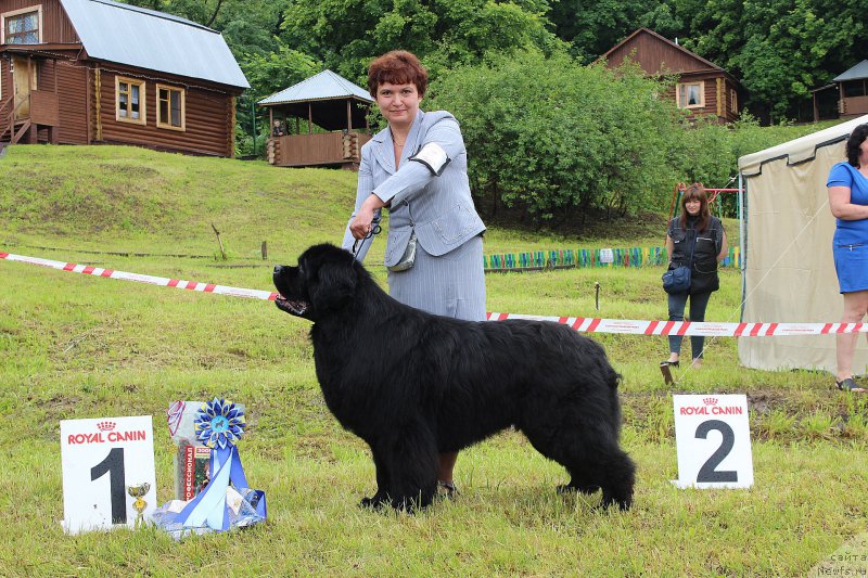 Фотография № 227161