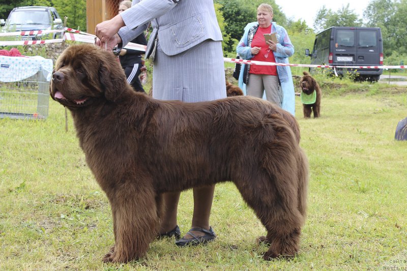 Фотография № 227162