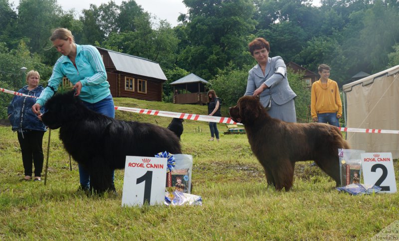 Фотография № 227164