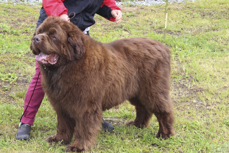 Фотография № 227165