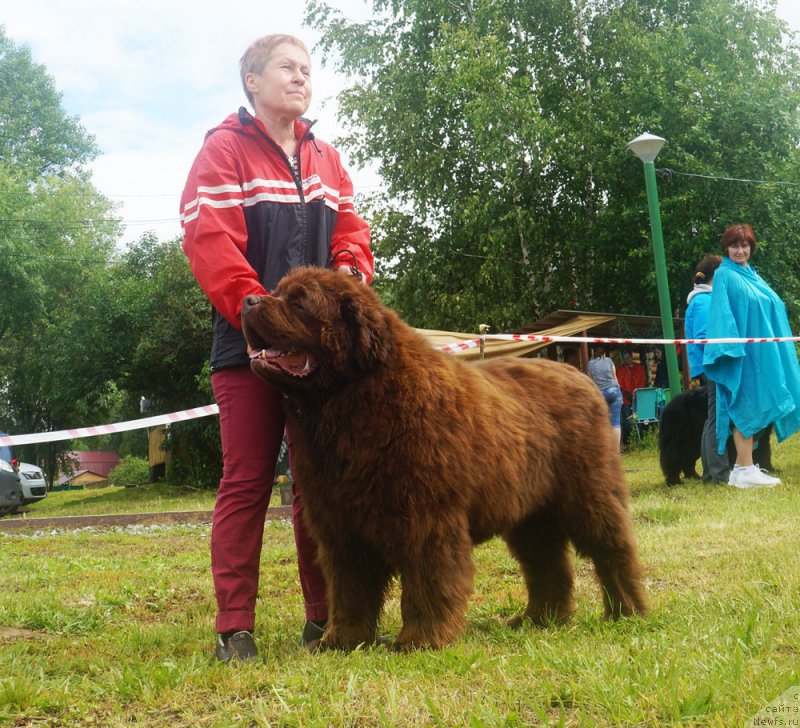 Фотография № 227168