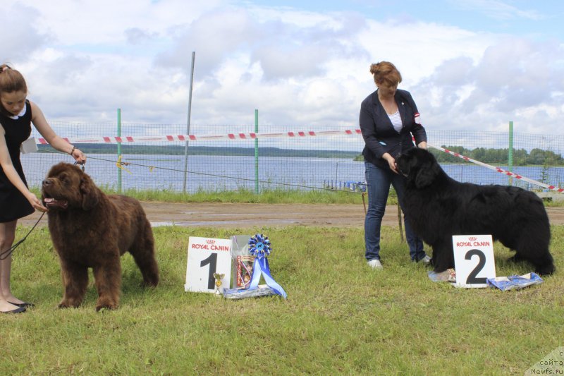 Фотография № 227173