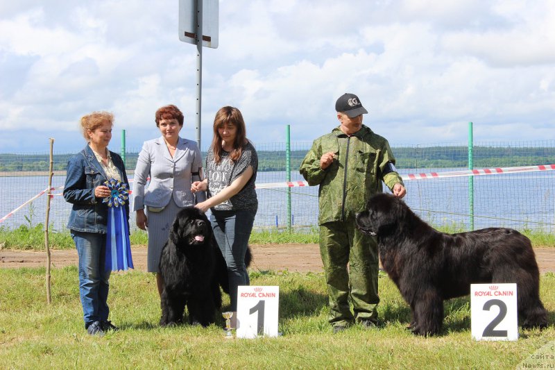 Фотография № 227174