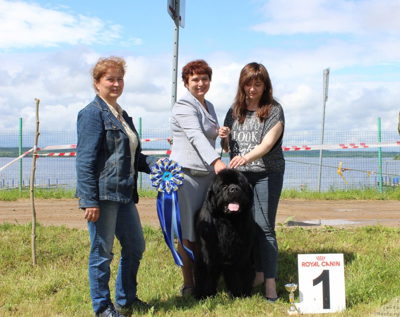 Фотография № 227177