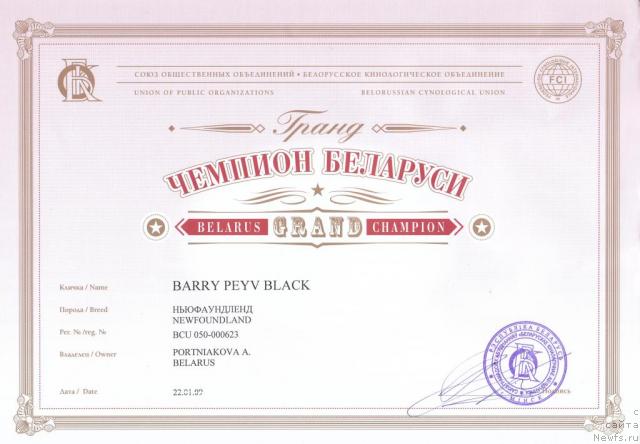 Фото: ньюфаундленд Barry Peyv Black (Барри Пейв Блэк)