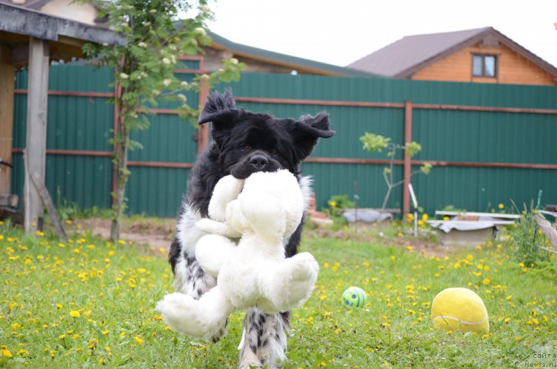 Фотография № 227181